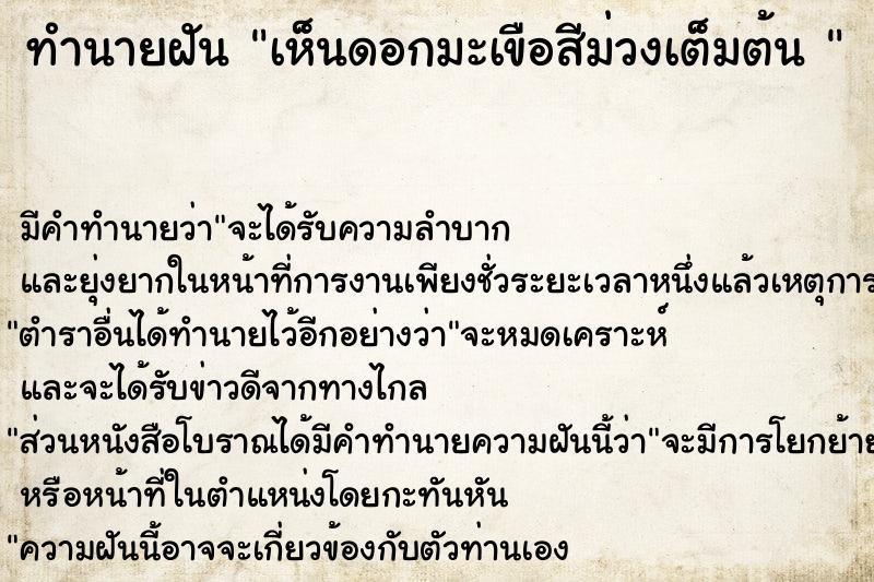 ทำนายฝัน เห็นดอกมะเขือสีม่วงเต็มต้น 